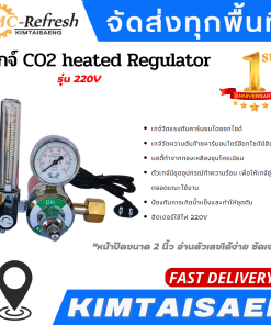 เกจ์ CO2 heated Regulator
