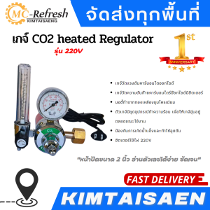 เกจ์ CO2 heated Regulator