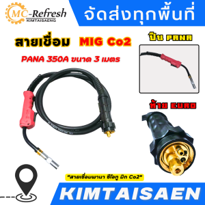 สายเชื่อมพานา ซีโอทู มิก Co2 (MIG) PANA 350A ยาว 3เมตร ลวดเชื่อม, เครื่องเชื่อม