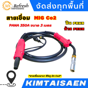 สายเชื่อมพานา ซีโอทู มิก Co2 (MIG) PANA 350A ยาว 3เมตร ลวดเชื่อม, เครื่องเชื่อม